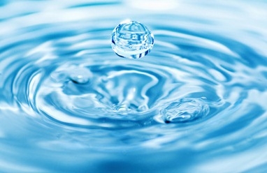 «Вода для жизни» - в Воронежской библиотеке им. И.С. Никитина прошли открытые лекции «Вода для жизни» - в Воронежской библиотеке им. И.С. Никитина прошли открытые лекции