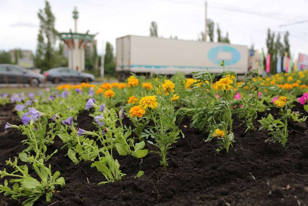 Завершены работы по благоустройству территории на месте бывшего мини-рынка «Остужевский»