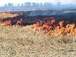 На территории региона стартовала экологическая акция «Нет весенним палам» На территории региона стартовала экологическая акция «Нет весенним палам»