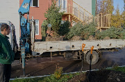 dsc088211.jpg