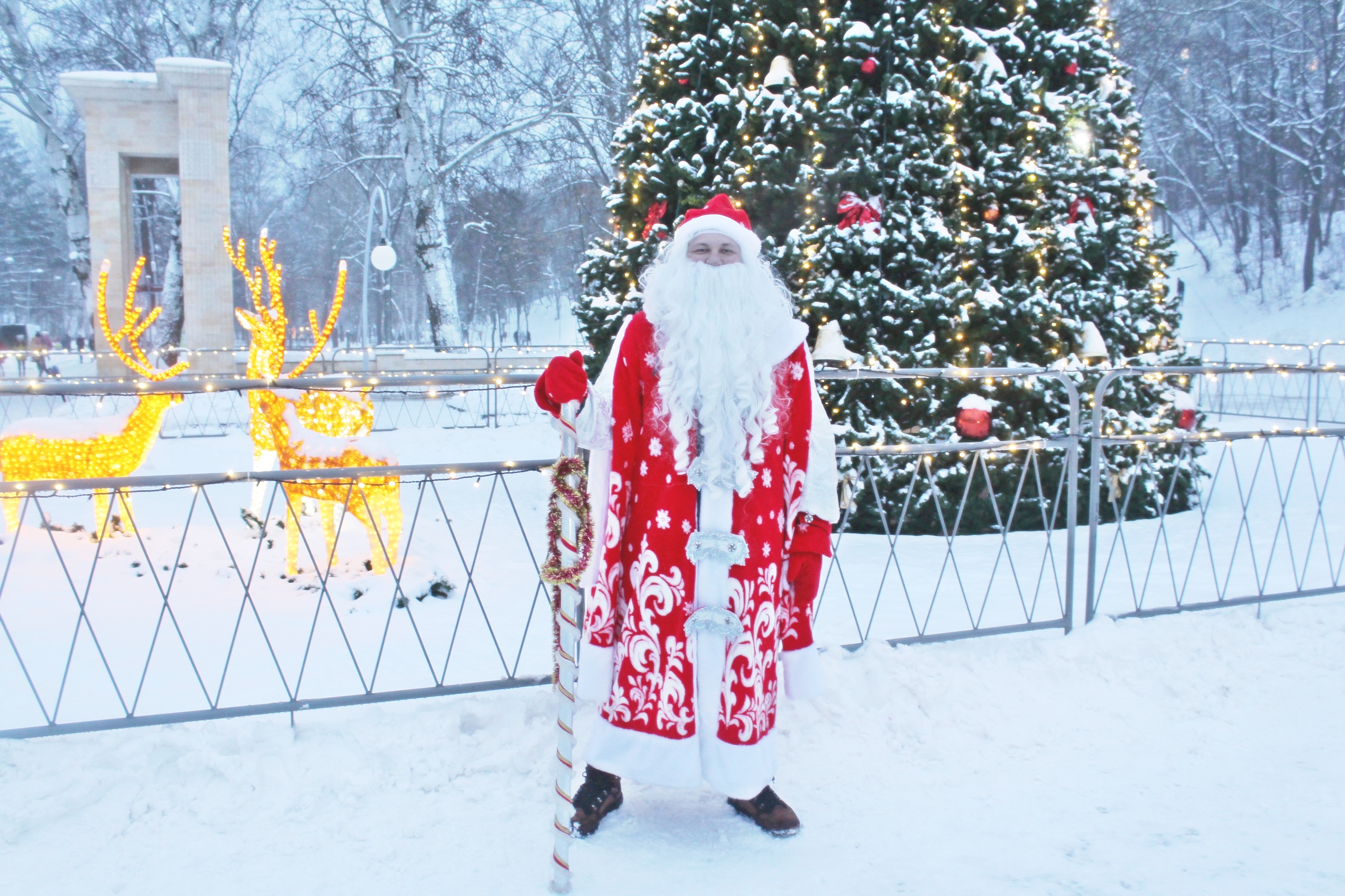 В минувшие выходные в парке «Алые паруса» и Воронежском центральном парке состоялись праздничные мероприятия по открытию новогодних ёлок В минувшие выходные в парке «Алые паруса» и Воронежском центральном парке состоялись праздничные мероприятия по открытию новогодних ёлок