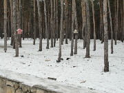 dsc08345.jpg
