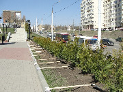 dsc04594.jpg