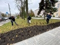 В городе началась высадка тюльпанов и крокусов В городе началась высадка тюльпанов и крокусов