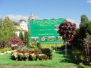 dsc02753.jpg