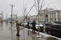 На проспекте Революции начались весенние работы по уходу за деревьями На проспекте Революции начались весенние работы по уходу за деревьями