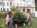 Осеннее озеленение территорий городского округа Осеннее озеленение территорий городского округа