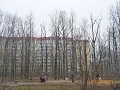 Уходные работы за зелеными насаждениями на территории микрорайона «Дубрава» Уходные работы за зелеными насаждениями на территории микрорайона «Дубрава»