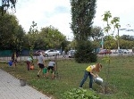 В Воронеже 29 августа в рамках Всероссийского экологического субботника «Зеленая Россия» прошел завершающий этап национального проекта «Лес Победы» В Воронеже 29 августа в рамках Всероссийского экологического субботника «Зеленая Россия» прошел завершающий этап национального проекта «Лес Победы»