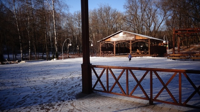 Открытые функциональные тренировки в Центральном парке Открытые функциональные тренировки в Центральном парке