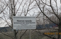 Городские экологи вместе с полицией продолжают рейды в Центральном парке культуры и отдыха Городские экологи вместе с полицией продолжают рейды в Центральном парке культуры и отдыха
