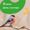 9 января в России отмечают - День снегиря! 9 января в России отмечают - День снегиря!