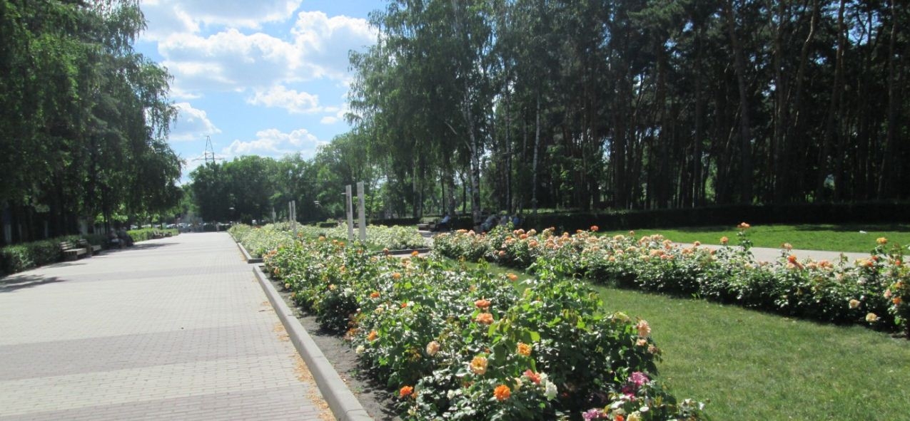 Развитие парковой инфраструктуры! Развитие парковой инфраструктуры!