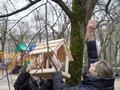 Воронеж участвует в областной экологической акции «Покорми птиц зимой» Воронеж участвует в областной экологической акции «Покорми птиц зимой»