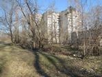Общегородской субботник в лесопарке "Оптимистов" Общегородской субботник в лесопарке "Оптимистов"