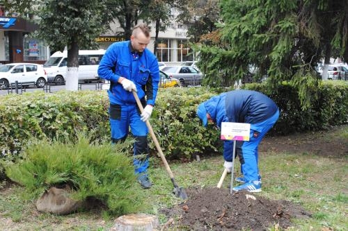 В Воронеже появился «Айти-сквер» В Воронеже появился «Айти-сквер»