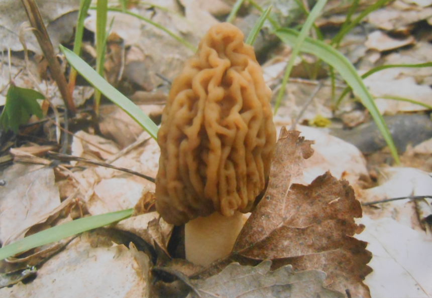 Состоялось награждение победителей смотра-конкурса  «Окно в природу» Состоялось награждение победителей смотра-конкурса  «Окно в природу»