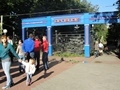 Итоги Всероссийского экологического субботника - "Зеленая Россия"