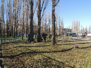 dscn3824.jpg