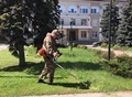 В Воронеже завершился месячник благоустройства В Воронеже завершился месячник благоустройства