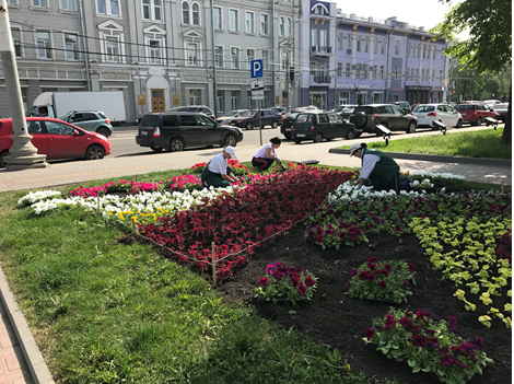 В Воронеже начаты работы по устройству цветников В Воронеже начаты работы по устройству цветников