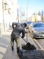 В Воронеже продолжаются работы по осеннему озеленению В Воронеже продолжаются работы по осеннему озеленению