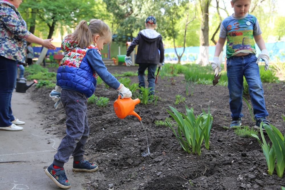 Воронежские школьники соберут «экологическую коллекцию» Воронежские школьники соберут «экологическую коллекцию»