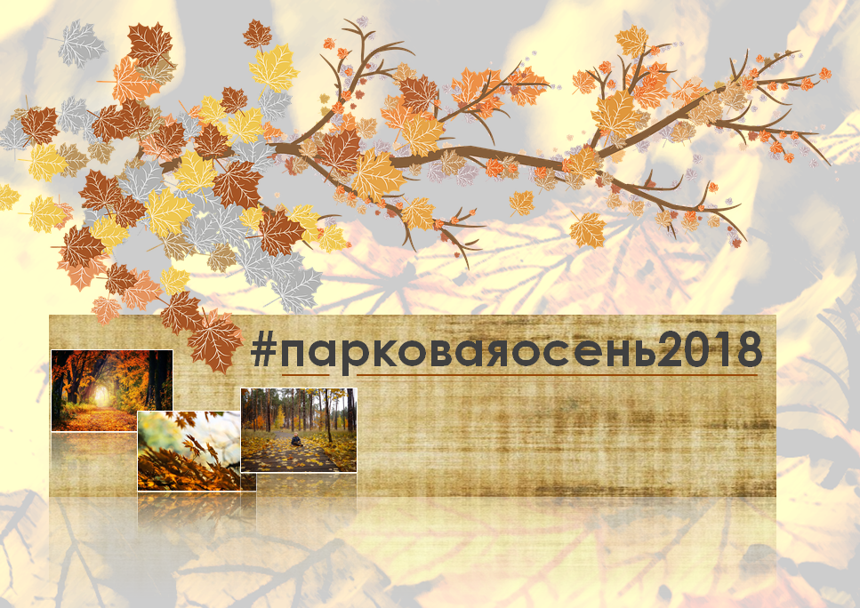 Объявлен конкурс "Парковая осень 2018" Объявлен конкурс "Парковая осень 2018"