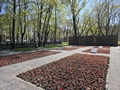 В парке культуры и отдыха «Орленок»  у мемориала высадили однолетние цветы