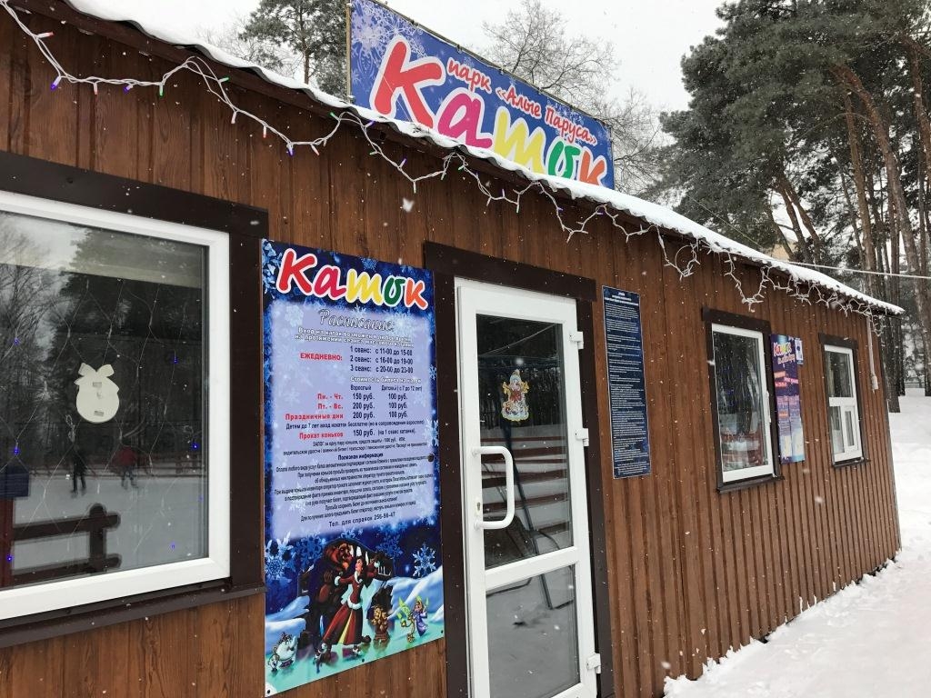 Катки в парках Воронежа Катки в парках Воронежа