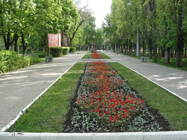 Устройство цветников на территории городского округа город Воронеж Устройство цветников на территории городского округа город Воронеж