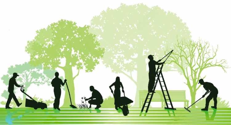 Уборка зеленой зоны на набережной Максима Горького Уборка зеленой зоны на набережной Максима Горького