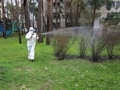 В Воронеже проходит обработка парков и скверов от комаров и клещей В Воронеже проходит обработка парков и скверов от комаров и клещей