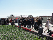 dsc04617.jpg