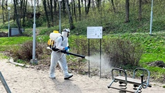 Обработка от комаров и клещей началась в воронежских парках и скверах