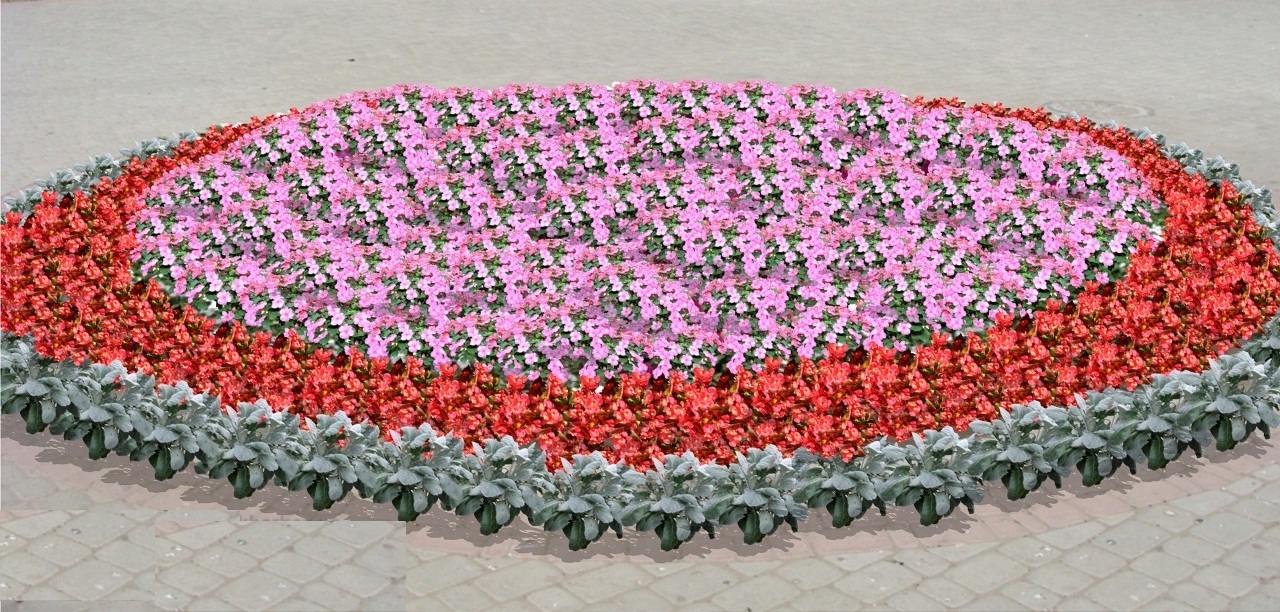 В центре Воронежа появится новый сквер В центре Воронежа появится новый сквер