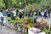 dsc_0811.jpg