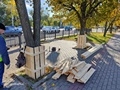 В Коминтерновском районе под пристальным вниманием  управления экологии полным ходом ведется подготовка деревьев к зимнему сезону В Коминтерновском районе под пристальным вниманием  управления экологии полным ходом ведется подготовка деревьев к зимнему сезону