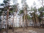 Результаты лесопатологической экспертизы деревьев  у дома № 26а по ул. Богдана Хмельницкого Результаты лесопатологической экспертизы деревьев  у дома № 26а по ул. Богдана Хмельницкого