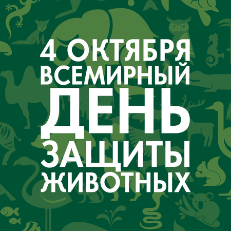 Сегодня День защиты животных Сегодня День защиты животных