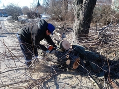 В Центральном районе начались работы по приведению в порядок зеленых насаждений В Центральном районе начались работы по приведению в порядок зеленых насаждений