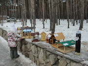 dsc08275.jpg