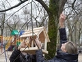 В парке имени Шерстюка появилась «птичья столовая» В парке имени Шерстюка появилась «птичья столовая»
