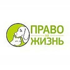 Мир за бездомных животных