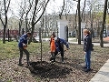 В Воронеже приступили к озеленению парка «Орленок» В Воронеже приступили к озеленению парка «Орленок»