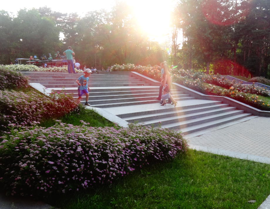 В Воронеже завершены работы по организации цветников