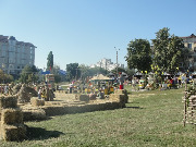 dsc02887.jpg