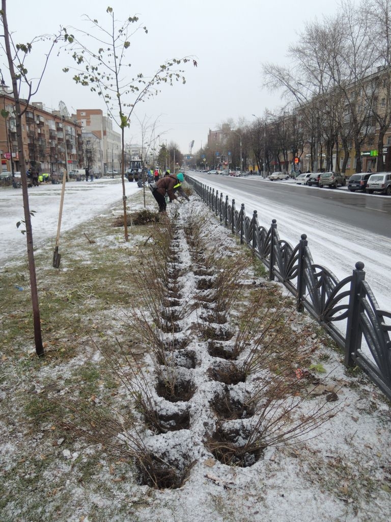 Общегородской субботник  Общегородской субботник