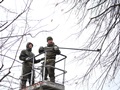 На территории сквера имени Ивана Бунина прошел мастер-класс по формовочной обрезке деревьев На территории сквера имени Ивана Бунина прошел мастер-класс по формовочной обрезке деревьев