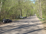 berezovaya_rowa_2
